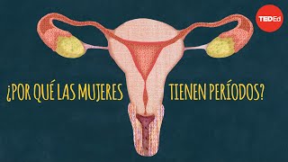 ¿Por qué las mujeres tienen períodos [upl. by Kokoruda391]