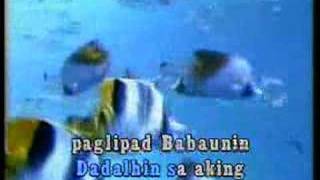 videoke  opm hahanapin ko [upl. by Sirron]