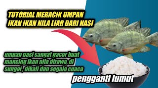 Tutorial meracik umpan ikan nila liar dari nasi  Umpan ikan nila dari nasiUmpan jitu ikan nila [upl. by Sorrows]