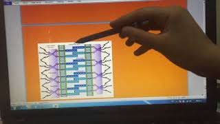 Desmosomemacula adherens [upl. by Eamaj]