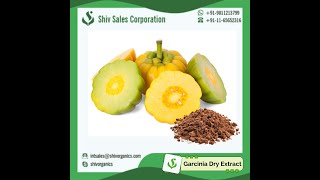 Shiv Sales Garcinia Cambogia Dry Extract [upl. by Elkcim]