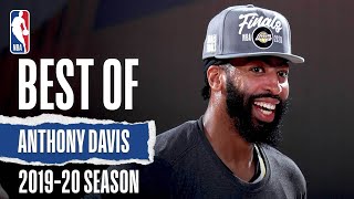 The Very Best Of Anthony Davis 201920 Season [upl. by Willtrude]