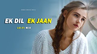 Ek Dil Ek Jaan Lofi Mix  Deepika Padukone  Shahid Kapoor  Padmaavat  Best Bollywood Lofi Songs [upl. by Englebert]