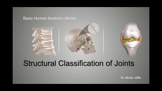 Structural Classification of Joints [upl. by Aissirac]