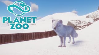 Welcome the Arctic Rascals ❄🐧Planet Zoo Winter Wonders 1 [upl. by Rufus]