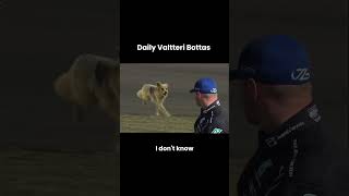 A dog on the track – Valtteri Bottas reacts [upl. by Noraha323]