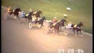 Finlandia Ajo 1986 Davidia Hanover [upl. by Bil]