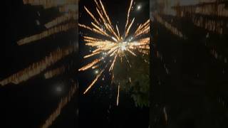 “FIRE IN THE HOLEEE ”🎇 fireworks shorts funny [upl. by Mala]