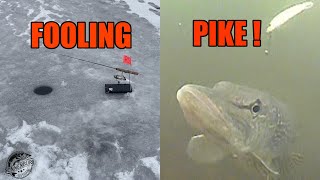 Early Ice Northern Pike Slam Finicky Fooler aquavu pike sonnenburgoutdoors [upl. by Palermo]