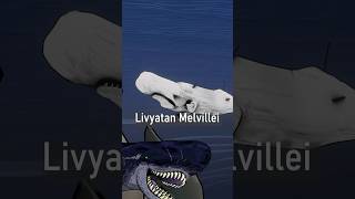 Wait what does Livyatan have in common with this white whale [upl. by Mita277]