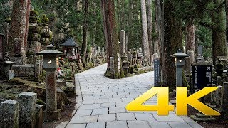 Okunoin Cemetery Part I  Wakayama  奥の院  4K Ultra HD [upl. by Chrotoem196]