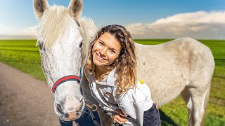 JE VOUS PRÉSENTE MON CHEVAL  lamour de ma vie [upl. by Caressa]