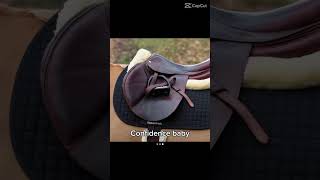 CONFIDENCE BABY  fypシ゚viral equestrian horse [upl. by Yroger]