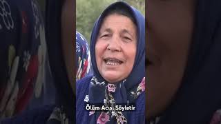 Yaşamaq yalvarmağa dəyən bir şey deyilAmma istəmirəm ölüm Meyxanaçı XƏYYAM [upl. by Ameg]