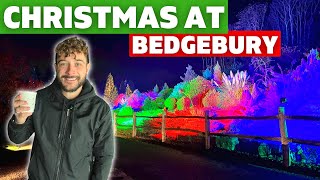 We Visit Christmas At Bedgebury  Kents BEST Light Trail 🎄 [upl. by Trebmal132]