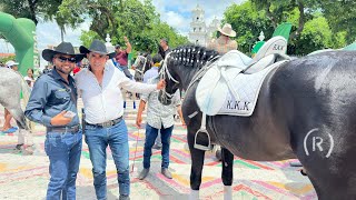 Desfile hípico en Esquipulas Chiquimula yosoytiogil502guate [upl. by Cyrus]