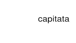 How to pronounce capitata [upl. by Ruckman]