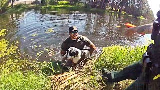 Florida Deputy Jumps into Canal to Rescue Stranded Dog [upl. by Rufena748]