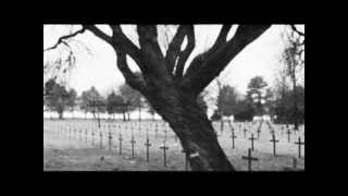 Dark haunting violin  Grave Song by Max Ablitzer [upl. by Ahsiliw536]