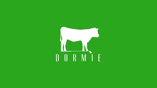 Dormie Workshop Intro [upl. by Rind572]