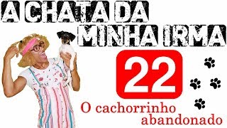 A CHATA DA MINHA IRMÃ 22 O CACHORRINHO ABANDONADO [upl. by Anaert]