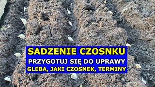 Sadzenie Czosnku  PRZYGOTUJ SIĘ Przygotowanie Gleby Jaki Czosnek Wybrać Jak Kiedy Sadzić Czosnek [upl. by Asiat853]