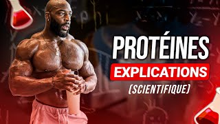 Combien De Protéines DoisJe Manger Pour Gagner Du Muscle  EXPLIQUÉ PAR LA SCIENCE [upl. by Vladamar446]