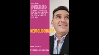 Daniel Pacheco Neuroliderazgo [upl. by Sirret621]