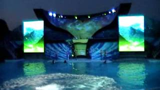 SeaWorld Shamu Rocks Full Show 72911 [upl. by Moscow]