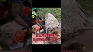 Husqvarna vs Stihl who winschainsaws hardware tools viralvideo foryou [upl. by Richy282]