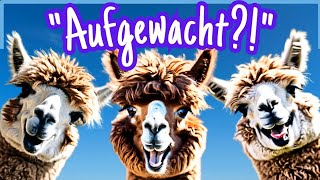 Guten Morgen 🌞 Bereit für LUSTIGE Grüße amp tierisch gute Laune 🦙 [upl. by Arsuy]