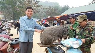 Robert sells biggest pig at the highland market Green forest life [upl. by Aicilaana983]