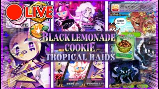 Viewer Gacha and Mango Red Velvet Dragon Team Review  Livestream [upl. by Stoat]