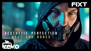 Aesthetic Perfection  Meat amp Bones [upl. by Henebry]