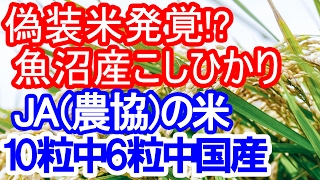 驚愕の結果「JAの米」に産地偽装の疑い…10粒中6粒中国産！？ [upl. by Stormie]