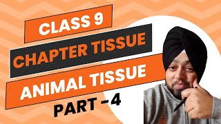 animal tissue class 9 animal tissue class 9 explanation  animaltissue class 9 [upl. by Hollinger211]