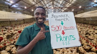 How Much Profit can a First time Farmer make from 500 Chickens [upl. by Acinnad]