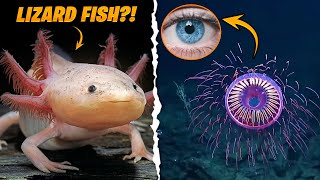 12 Mysterious Sea Creatures Caught on Camera  Creepy Sea Creatures [upl. by Tuorah]