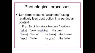 LING 101 UNM  Phononology  Phonological Processes [upl. by Barth]