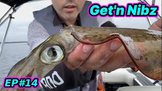 FRESH BAIT  SCREAMING REELS  Get’n Nibz  EP14 [upl. by Osgood]