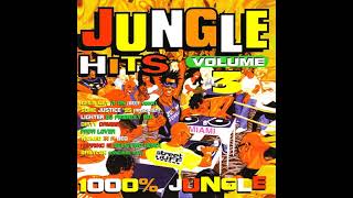 Various  Jungle Hits Vol 3 1995 [upl. by Cutcheon541]