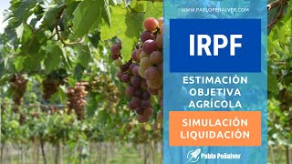 Caso práctico de IRPF 6C Liquidación del IRPF  Estimación Objetiva Agrícola Uva para vino de mesa [upl. by Xymenes]