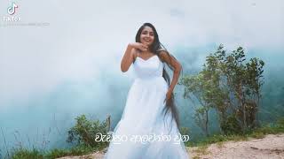 හිත බැදි ස්නෙහවන්ති නුඹHitha badi snehawanthi nuba cover dancepraveena dissanayake [upl. by Llebanna]