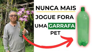 VEJA COMO PLANTAR ORQUÍDEA NA GARRAFA PET  MASUJI KAYASIMA [upl. by Slohcin]