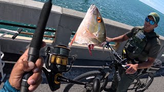 Florida keys Bridge fishinglaw enforcement visit [upl. by Wiebmer]