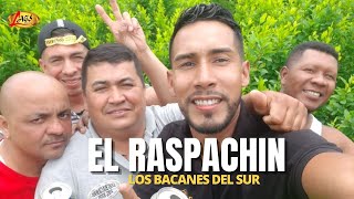 Los Bacanes del Sur  El Raspachin Video Oficial [upl. by Nivlad285]