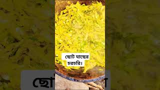 ছোট মাছের চরচরি। shortvideo shortsfeed cooking chotomachcook chorchori [upl. by Munford]