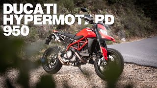 The Ducati Hypermotard 950 Is Deeply Flawed And I Want One [upl. by Ekusoyr]