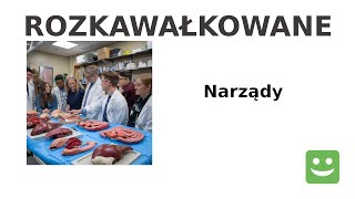 Kawał  Narządy  Rozkawałkowane [upl. by Sirrap516]