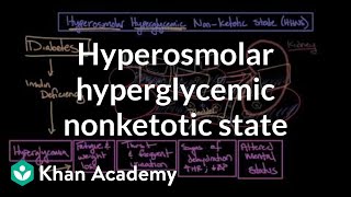 Acute complications of diabetes  Hyperosmolar hyperglycemic nonketotic state  Khan Academy [upl. by Kooima]